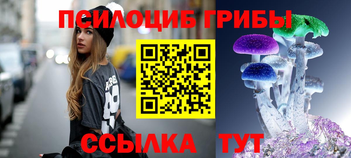 Псилоцибиновые грибы мицелий Абинск